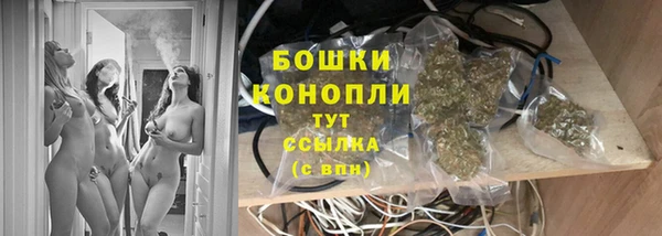 ALPHA PVP Бородино