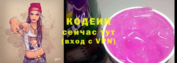 индика Бронницы