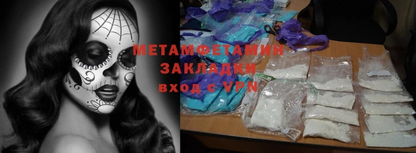 индика Бронницы