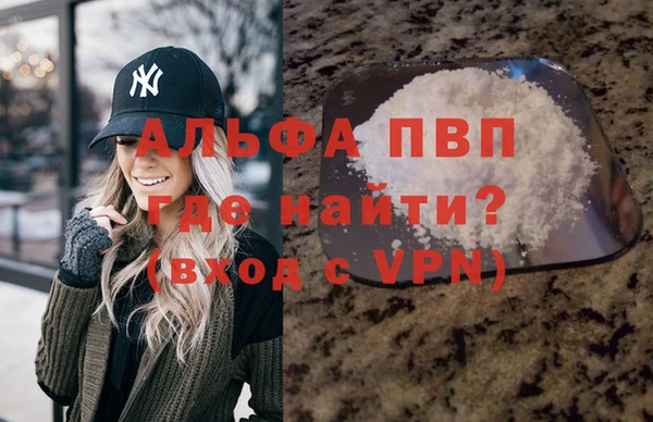индика Бронницы