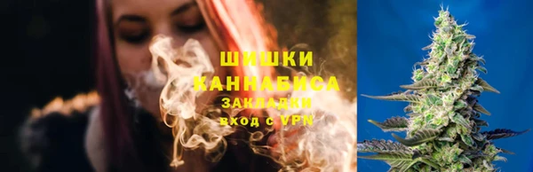 ALPHA PVP Бородино