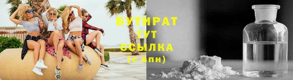 индика Бронницы