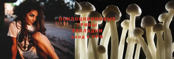 ALPHA PVP Бородино
