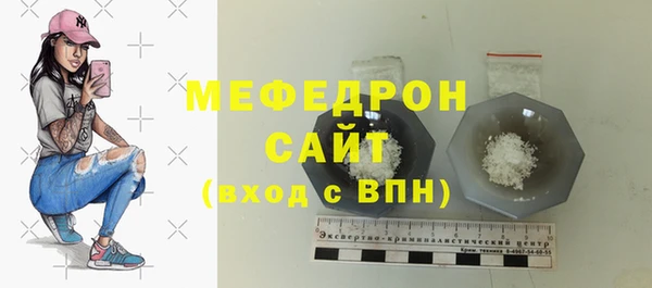 индика Бронницы