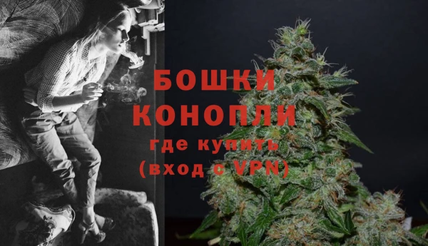 ALPHA PVP Бородино