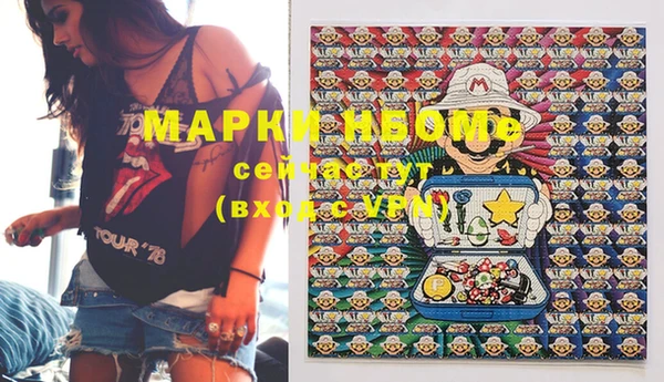 индика Бронницы