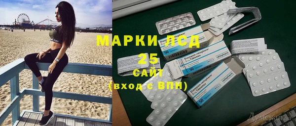 индика Бронницы