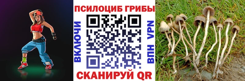 Галлюциногенные грибы Magic Shrooms  купить наркотики цена  Новосокольники 