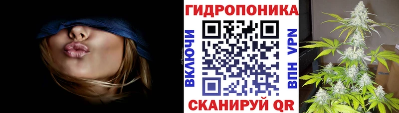 наркота  Новосокольники  мега зеркало  Канабис план 